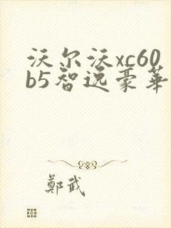 沃尔沃xc60b5智逸豪华版