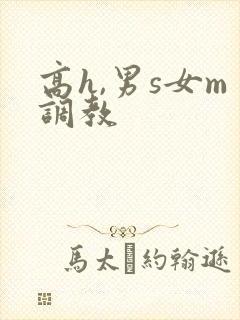 高h,男s女m调教