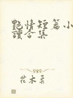 艳情短篇小说阅读合集