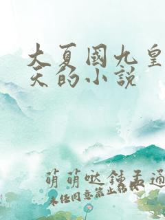 大夏国九皇子夏天的小说