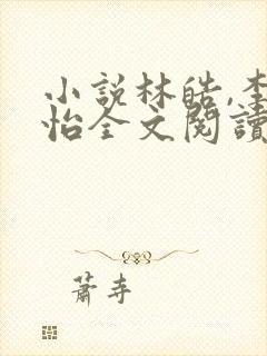 小说林皓,李静怡全文阅读