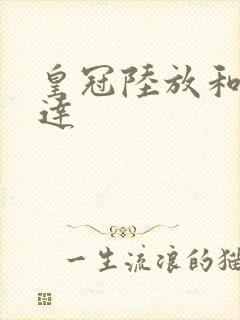 皇冠陆放和汉兰达