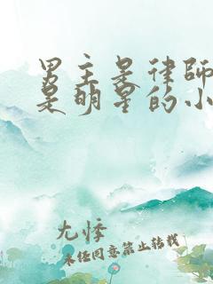男主是律师女主是明星的小说