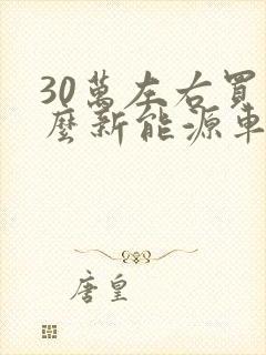 30万左右买什么新能源车好