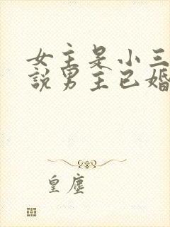 女主是小三的小说男主已婚现代文