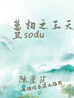 万相之王天蚕土豆sodu