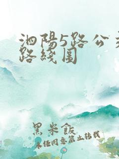 泗阳5路公交车路线图