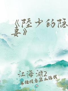 《陆少的隐婚罪妻》 《陆少的隐婚罪妻》