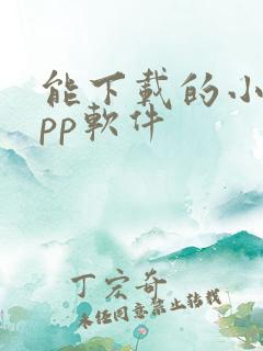 能下载的小说app软件
