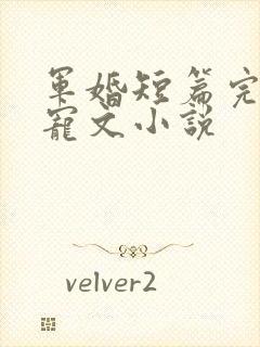 军婚短篇完结甜宠文小说
