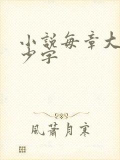 小说每章大概多少字 小说每章大概多少字