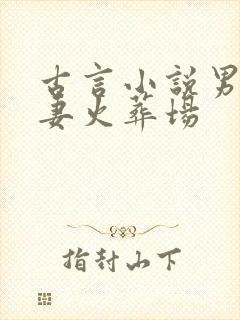 古言小说男主追妻火葬场