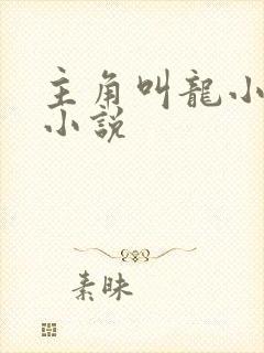 主角叫龙小天的小说