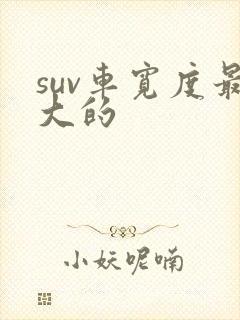 suv车宽度最大的