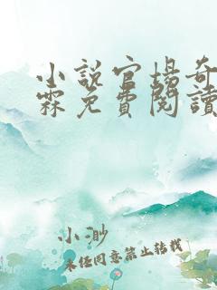 小说官场奇才李霖免费阅读