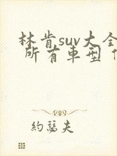 林肯suv大全 所有车型 价格 报价黑色