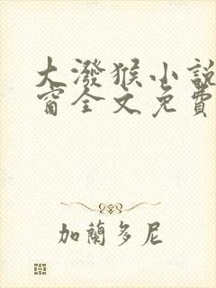 大泼猴小说无弹窗全文免费阅读