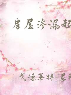 房屋渗漏起诉