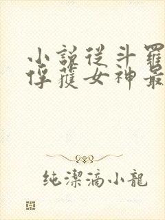 小说从斗罗开始俘获女神最新章节列表