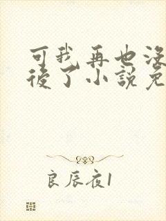 可我再也没有以后了小说免费阅读