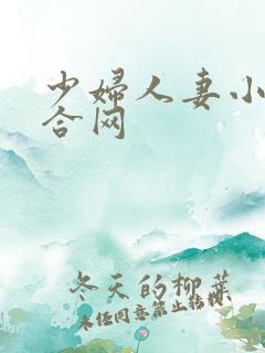 少妇人妻小说综合网