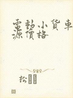 电动小货车新能源价格