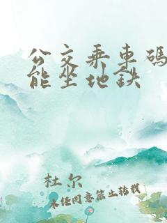 公交乘车码能不能坐地铁