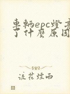 车辆epc灯亮了什么原因