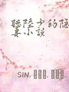 听陆少的隐婚罪妻小说