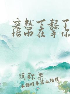 突然下起了雨一场雨在等你歌词