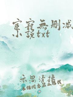 宦宠无删减原著小说txt