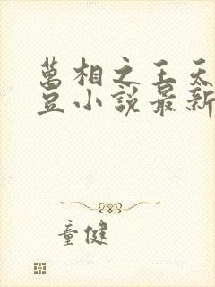 万相之王天蚕土豆小说最新章节精校版