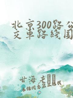 北京300路公交车路线图