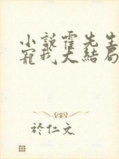 小说霍先生乖乖宠我大结局