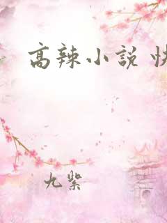 高辣小说 快穿