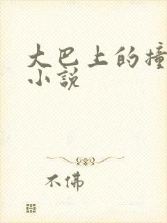 大巴上的撞击声小说