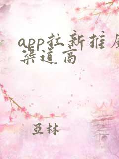 app拉新推广渠道商