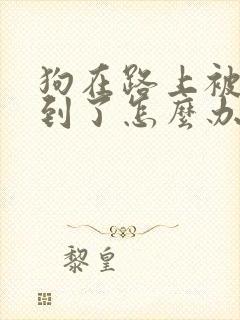 狗在路上被车撞到了怎么办
