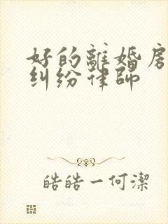 好的离婚房地产纠纷律师