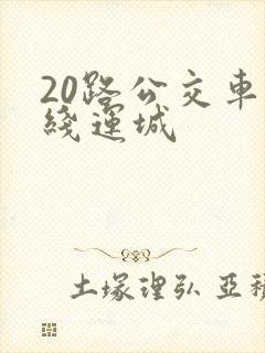 20路公交车路线运城