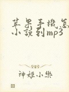 苹果手机怎么传小说到mp3