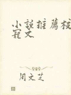 小说推荐校园甜宠文