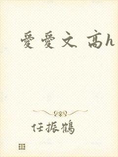 爱爱文 高h