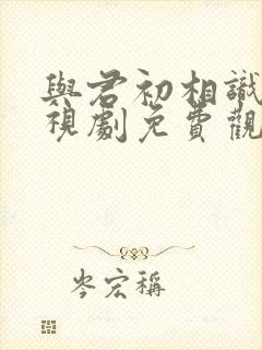 与君初相识 电视剧免费观看完整版高清