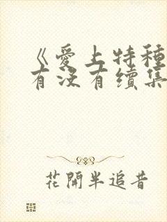 《爱上特种兵》有没有续集