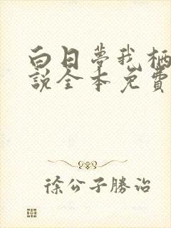 白日梦我栖见小说全本免费阅读