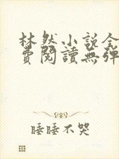 林然小说全文免费阅读无弹窗