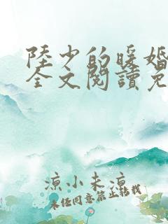 陆少的暖婚新妻全文阅读免费