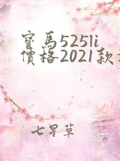 宝马525li价格2021款报价及图片