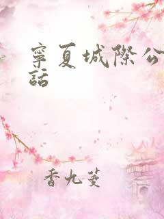 宁夏城际公交电话 宁夏城际公交电话